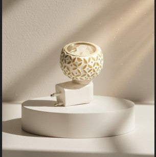 Electric Diffuser+Bhimseni Camphor